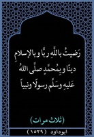 ١٣- رضيت بالله